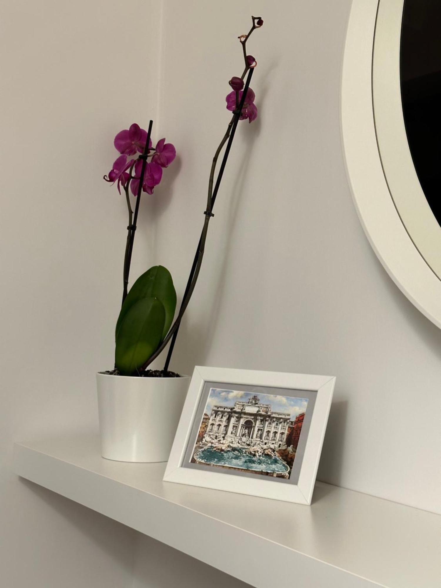 Trithome Suite Boutique Barberini ローマ エクステリア 写真